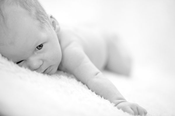 Kingsley Images — Infant portrait