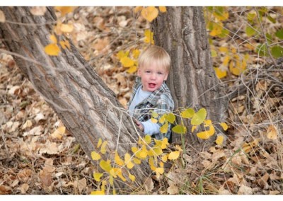 Kingsley Images - Toddler Portrait